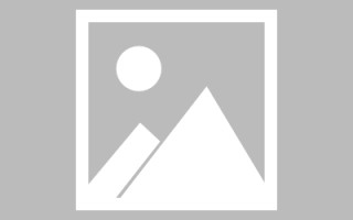 齐齐哈尔关于网站建设免费（关于网站建设免费的通知）